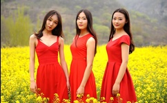 动漫人物将机机视频免费大全